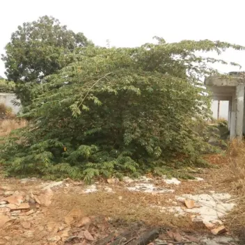 #735 - Lote en Cúcuta en venta de 1185m² - 6