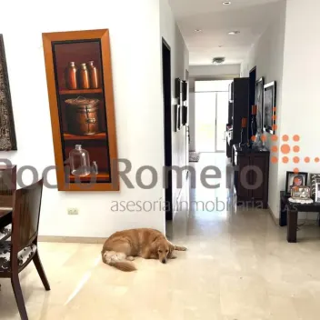 #817 - Apartamento en Cúcuta en venta de 179m², 3 habitaciones y 1 parqueadero - 8