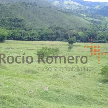 #973 - Lote en Bochalema en venta de 88000m² - 3