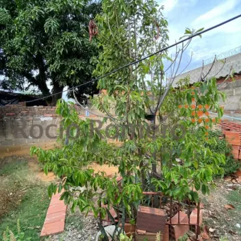 #1003 - Casa en Cúcuta en venta de 230m², 2 habitaciones y 1 parqueadero - 19