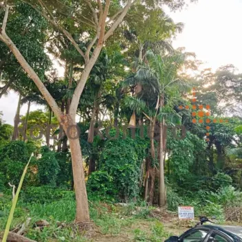 #1013 - Lote en conjunto cerrado en Villa del Rosario en venta de 1.148m² - 1