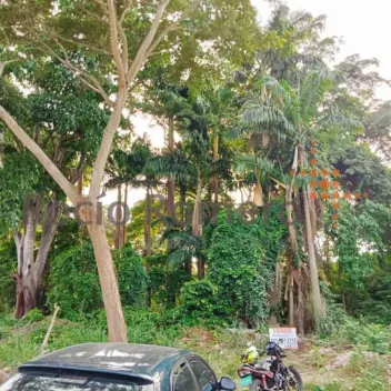 #1013 - Lote en conjunto cerrado en Villa del Rosario en venta de 1.148m² - 2