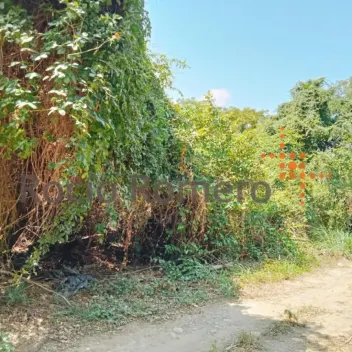 #1187 - Lote en conjunto cerrado en Villa del Rosario en venta de 1330m² - 3