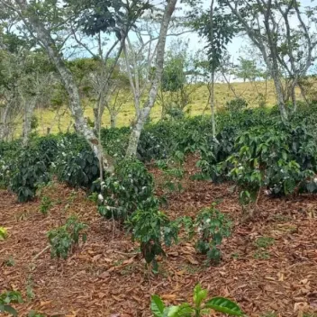 #1473 - Lote en Curiti en venta de 1500m² - 9