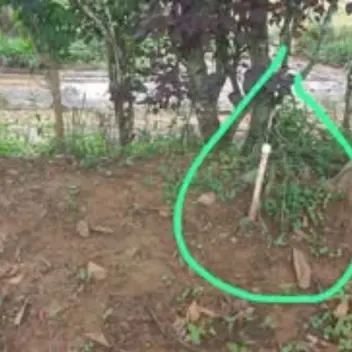 #1473 - Lote en Curiti en venta de 1500m² - 4