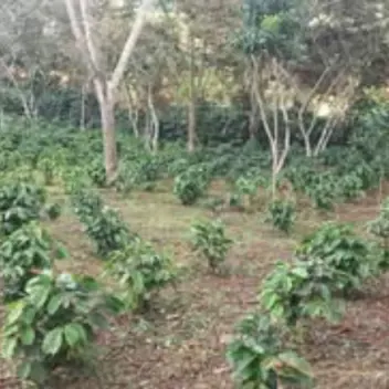 #1473 - Lote en Curiti en venta de 1500m² - 8