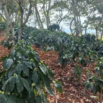 #1473 - Lote en Curiti en venta de 1500m² - 1