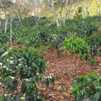 #1473 - Lote en Curiti en venta de 1500m² - 10