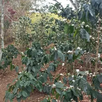 #1473 - Lote en Curiti en venta de 1500m² - 7