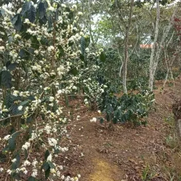 #1473 - Lote en Curiti en venta de 1500m² - 5