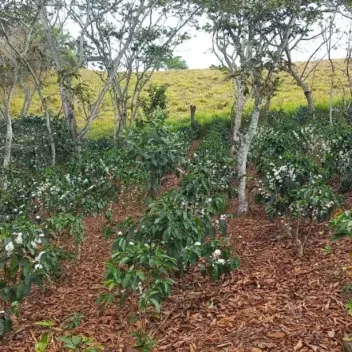 #1473 - Lote en Curiti en venta de 1500m² - 3