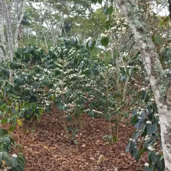 #1473 - Lote en Curiti en venta de 1500m² - 6