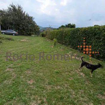 #1603 - Casa en Chinácota en venta de 1000m², 3 habitaciones - 7