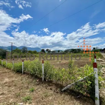 #1730 - Lote en Los Patios en venta de 1000m² - 1