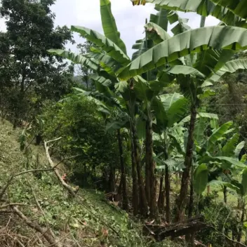 #1802 - Lote en venta en Bochalema de 17500m² - 4