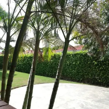 #2260 - Casa en conjunto cerrado en venta en Cúcuta de 200m², 3 habitaciones y 2 parqueaderos - 5