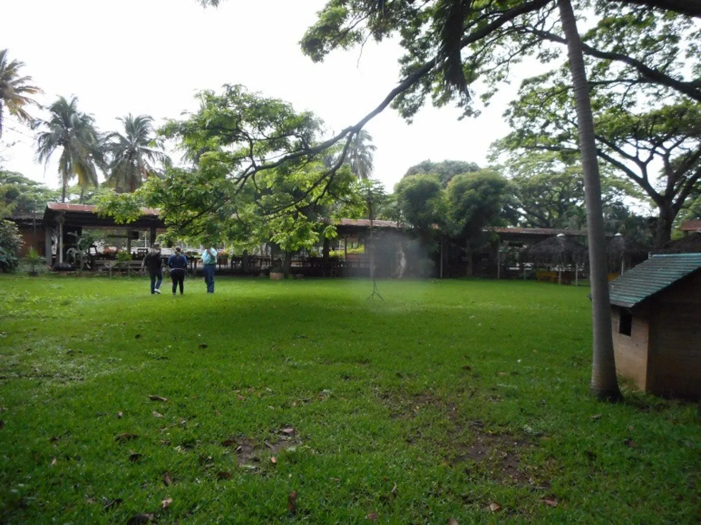 #43 - Lote en Villa del Rosario en arriendo de 5000m² - 1