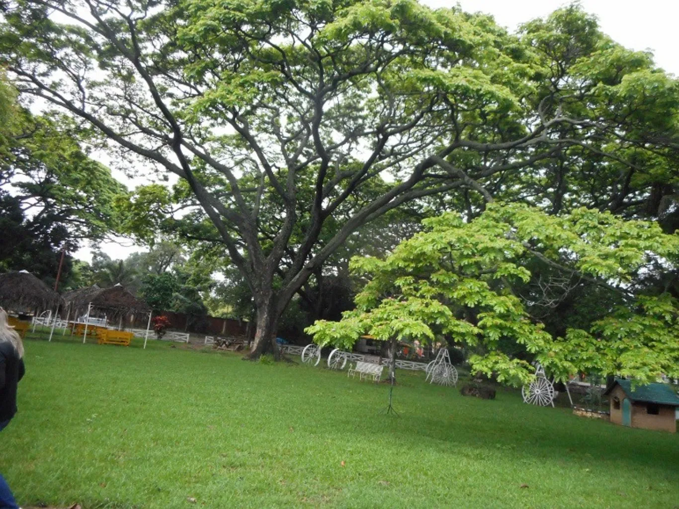 #43 - Lote en Villa del Rosario en arriendo de 5000m² - 2