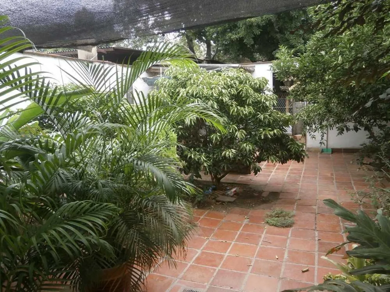 #313 - Casa en Cúcuta en venta de 365m², 5 habitaciones y 2 parqueaderos - 7