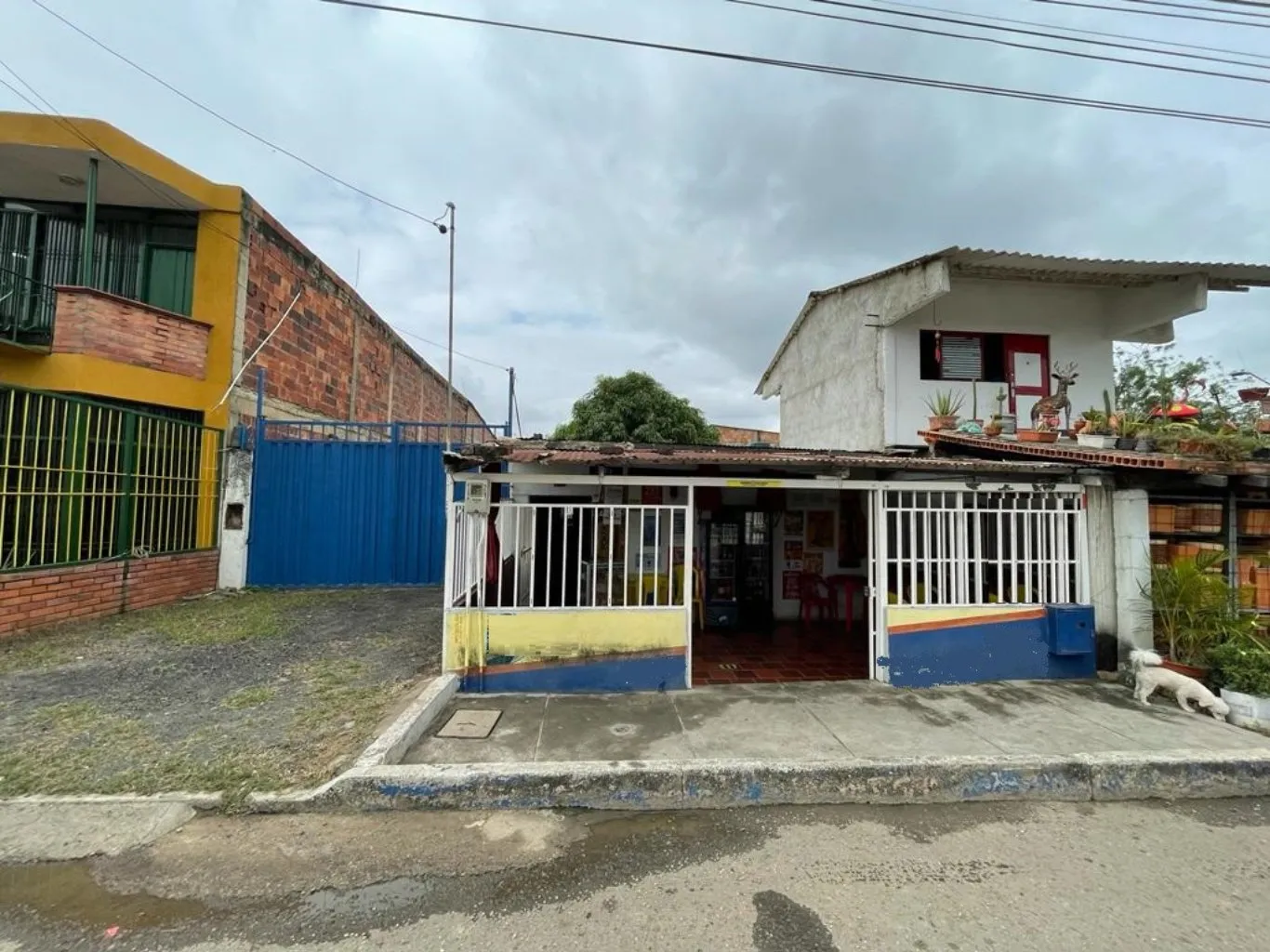 #392 - Lote en Cúcuta en venta de 300m² - 3
