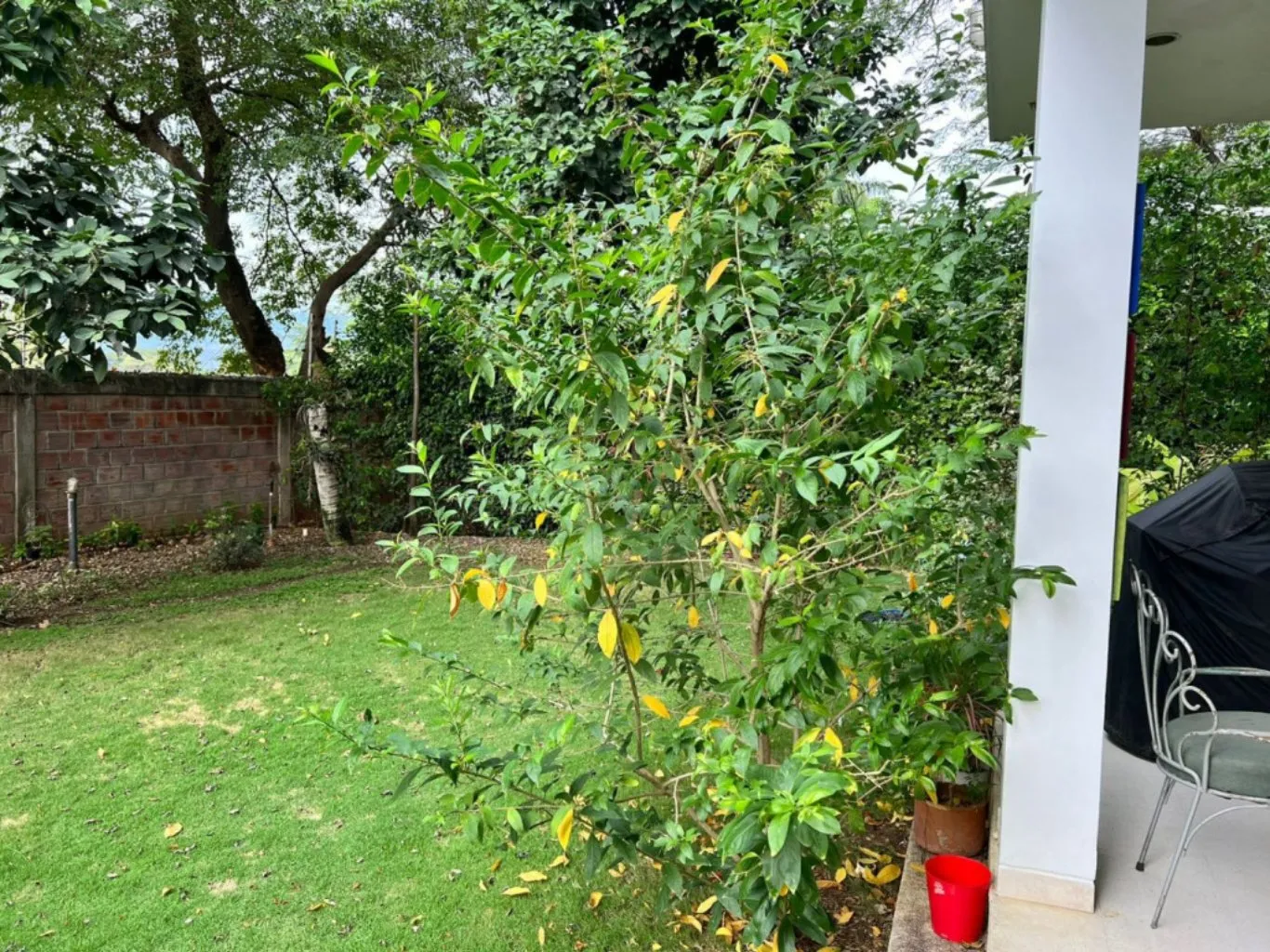 #444 - Casa en conjunto cerrado en Villa Del Rosario en venta de 300m², 3 habitaciones y 2 parqueaderos - 13