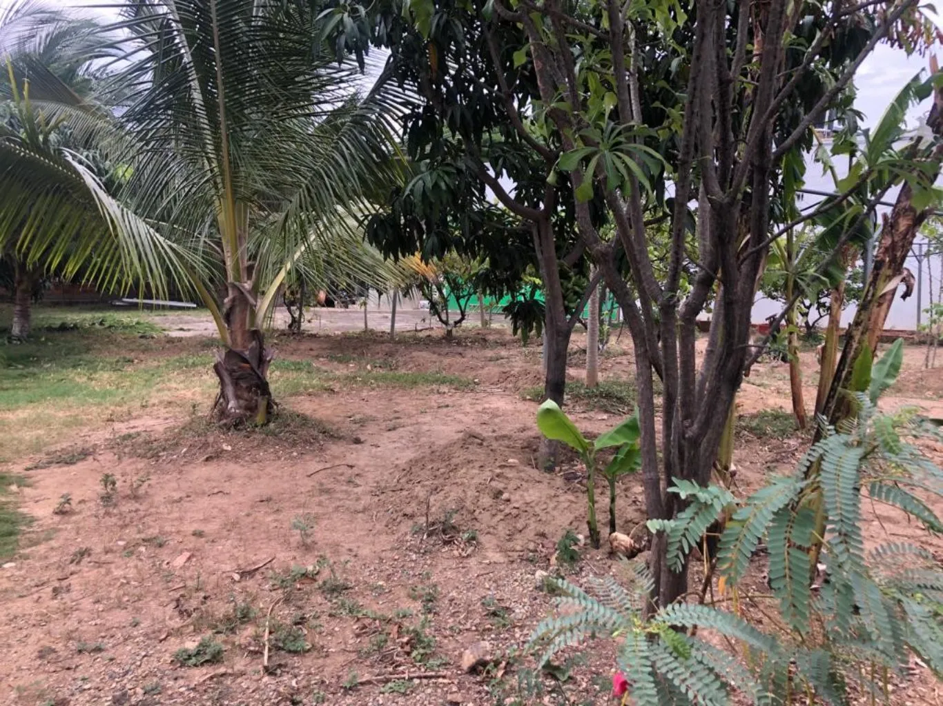 #447 - Lote en Cúcuta en venta de 474m² - 2