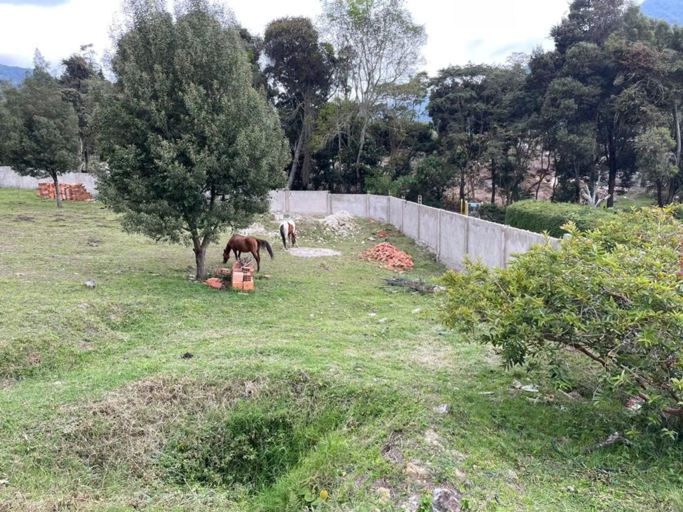 #476 - Lote en Chinácota en venta de 2000m² - 2