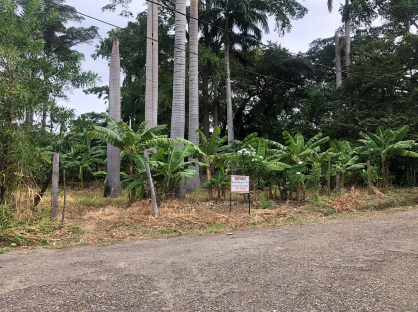 #553 - Lote en Cúcuta en venta de 1250m² - 2