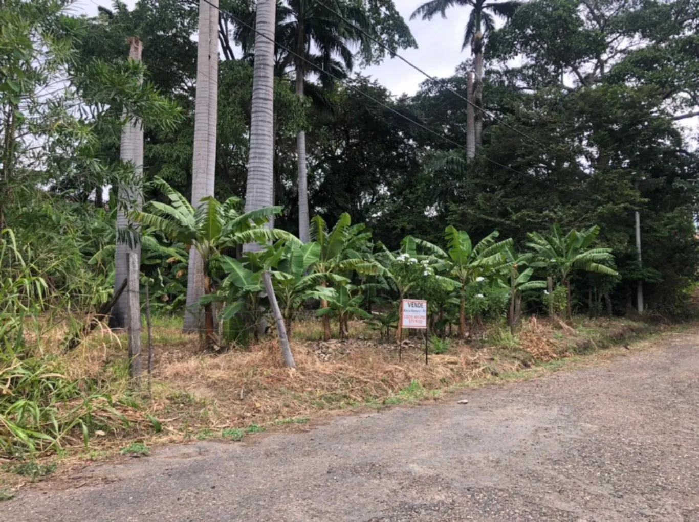 #553 - Lote en Cúcuta en venta de 1250m² - 3