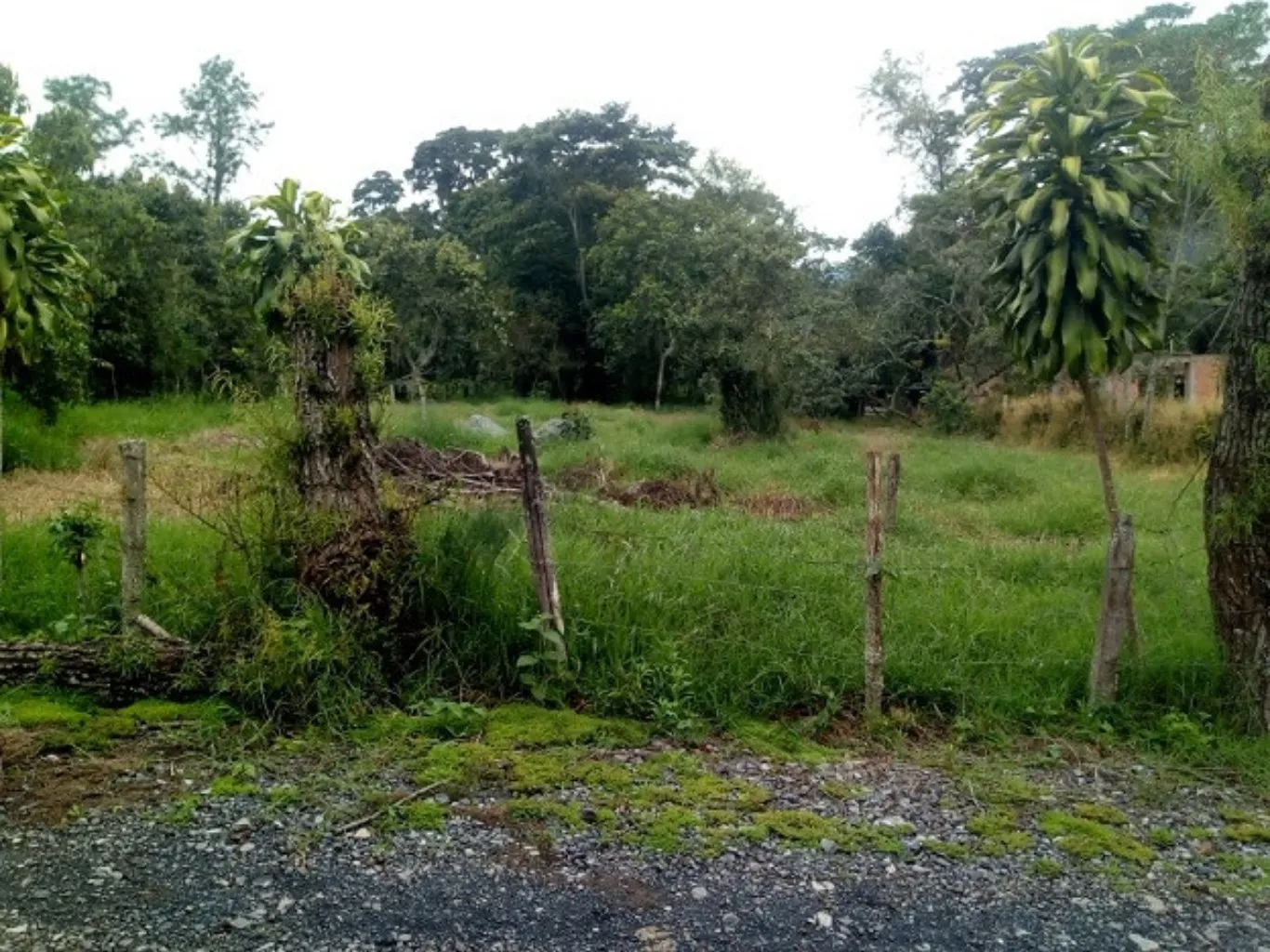 #646 - Lote en Chinácota en venta de 2000m² - 1