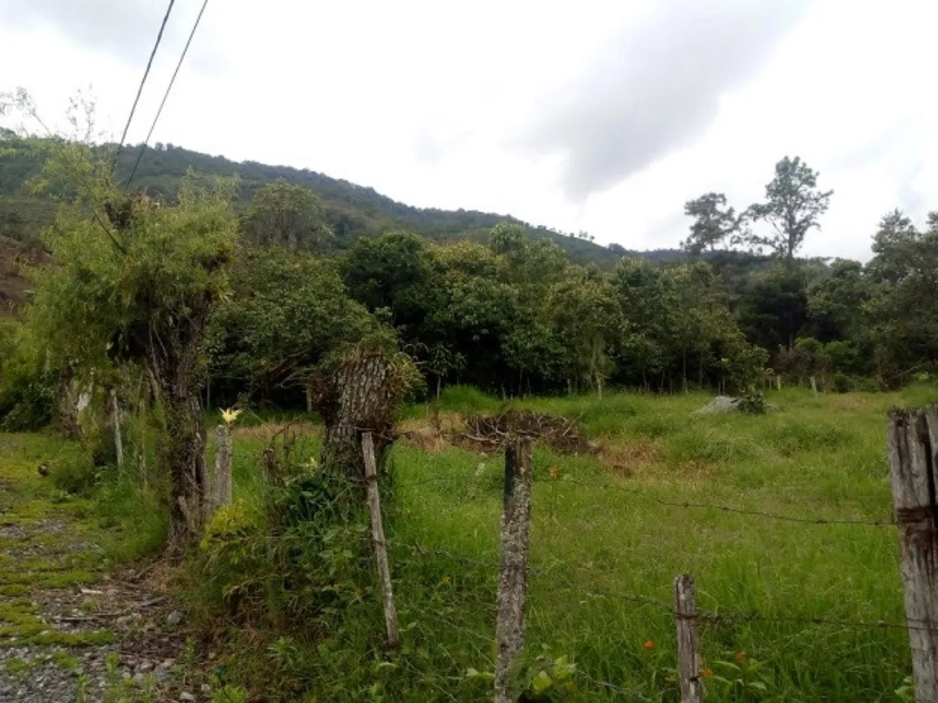 #646 - Lote en Chinácota en venta de 2000m² - 2