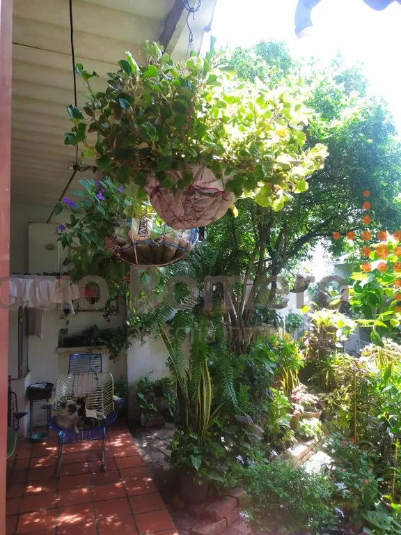 #900 - Casa en Cúcuta en venta de 202m², 4 habitaciones y 1 parqueadero - 11