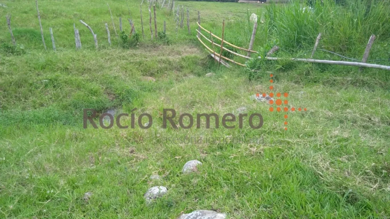 #973 - Lote en Bochalema en venta de 88000m² - 13