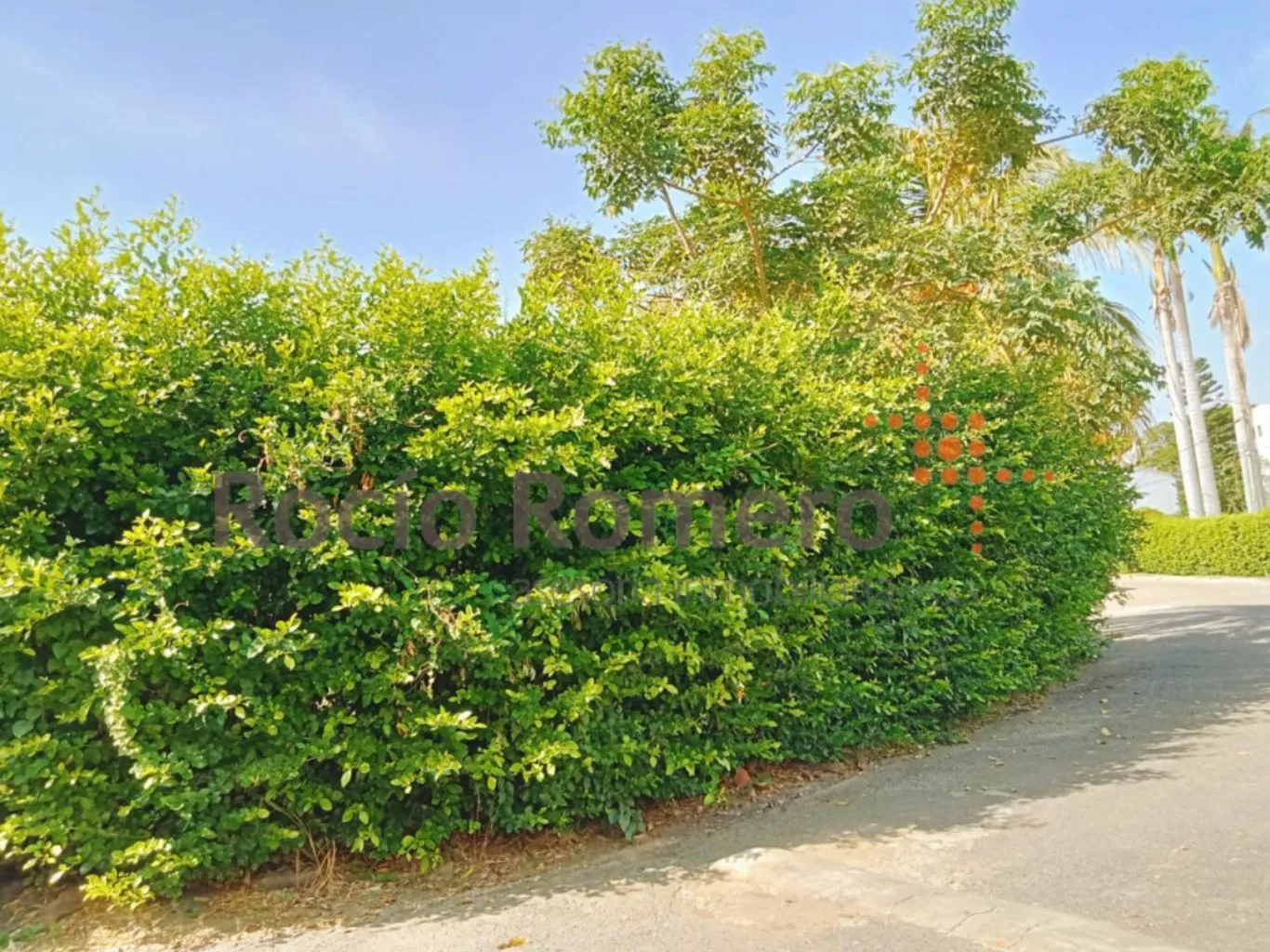 #1024 - Lote en conjunto cerrado en Villa Del Rosario en venta de 545m² - 3
