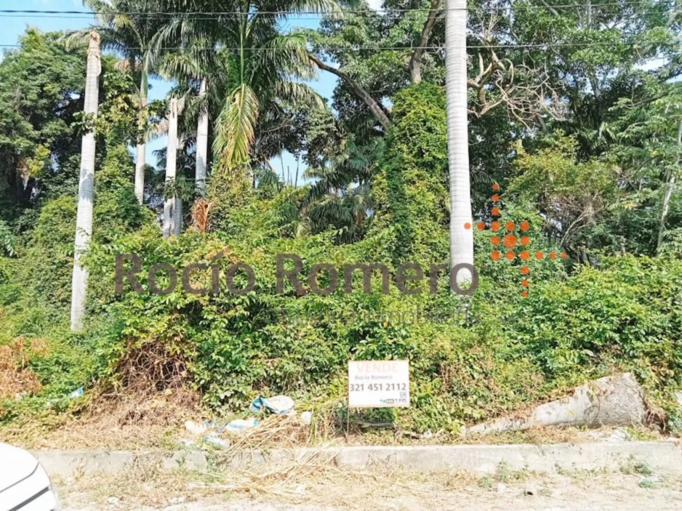 #1184 - Lote en conjunto cerrado en Villa Del Rosario en venta de 1325m² - 3