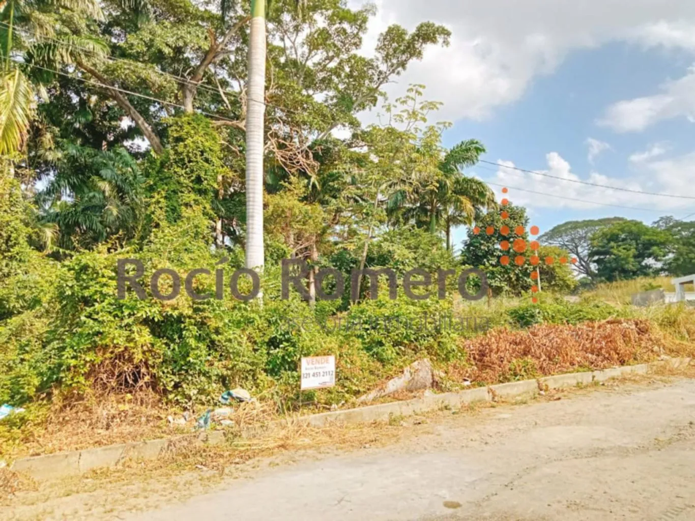 #1184 - Lote en conjunto cerrado en Villa Del Rosario en venta de 1325m² - 1