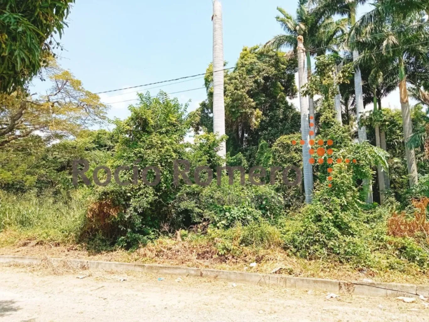 #1186 - Lote en conjunto cerrado en Villa Del Rosario en venta de 1490m² - 1