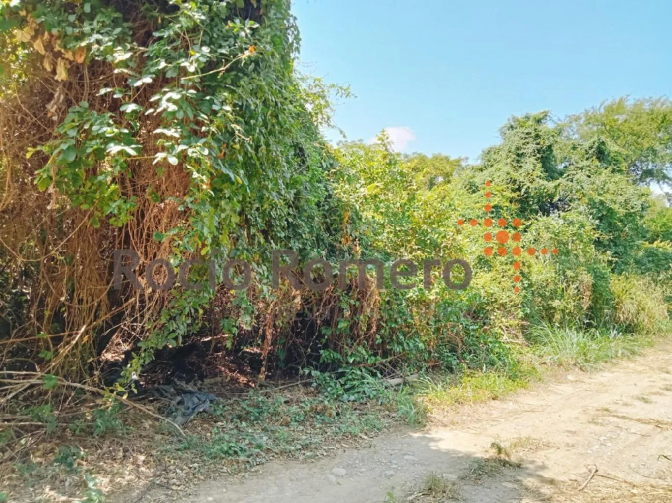 #1187 - Lote en conjunto cerrado en Villa Del Rosario en venta de 1330m² - 3