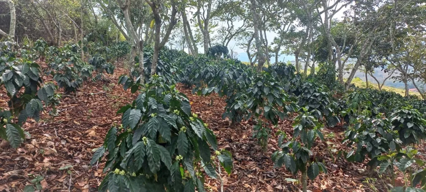 #1473 - Lote en Curiti en venta de 1500m² - 1