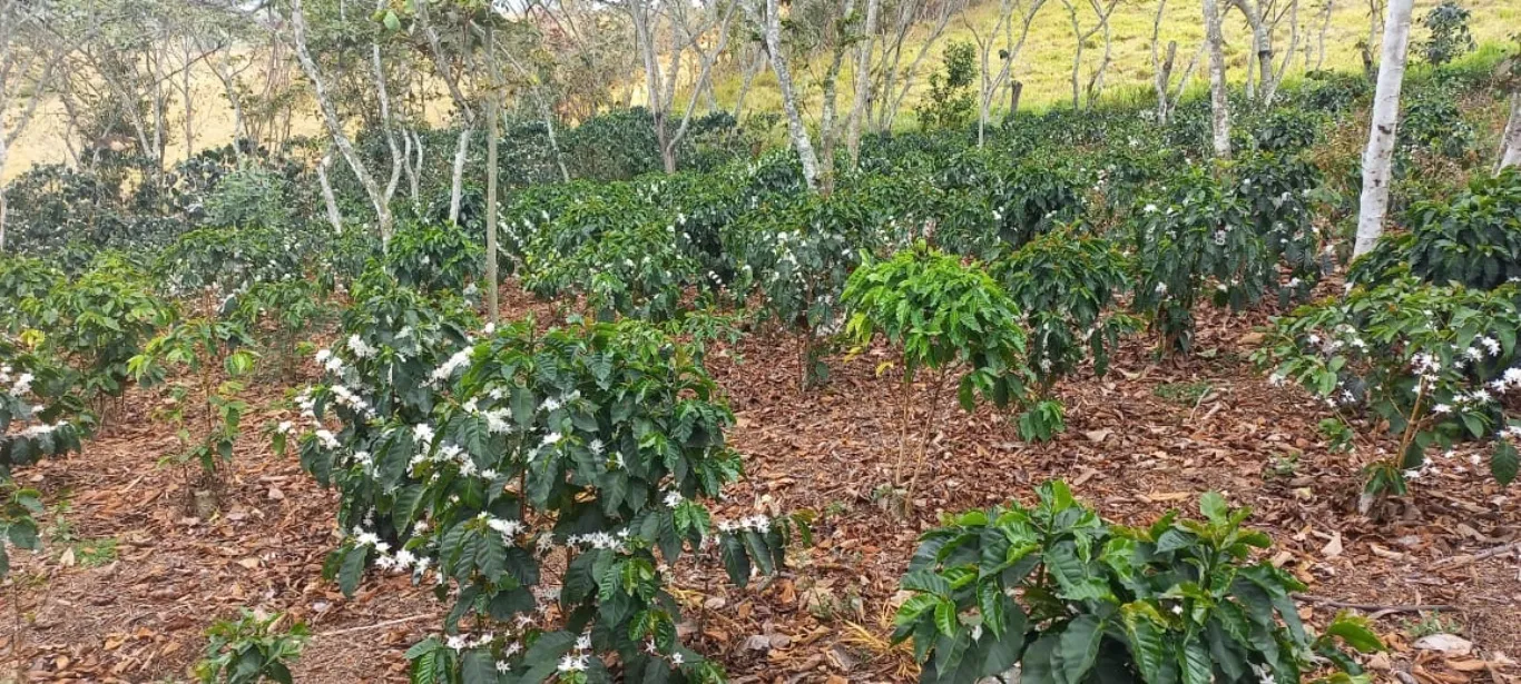 #1473 - Lote en Curiti en venta de 1500m² - 10