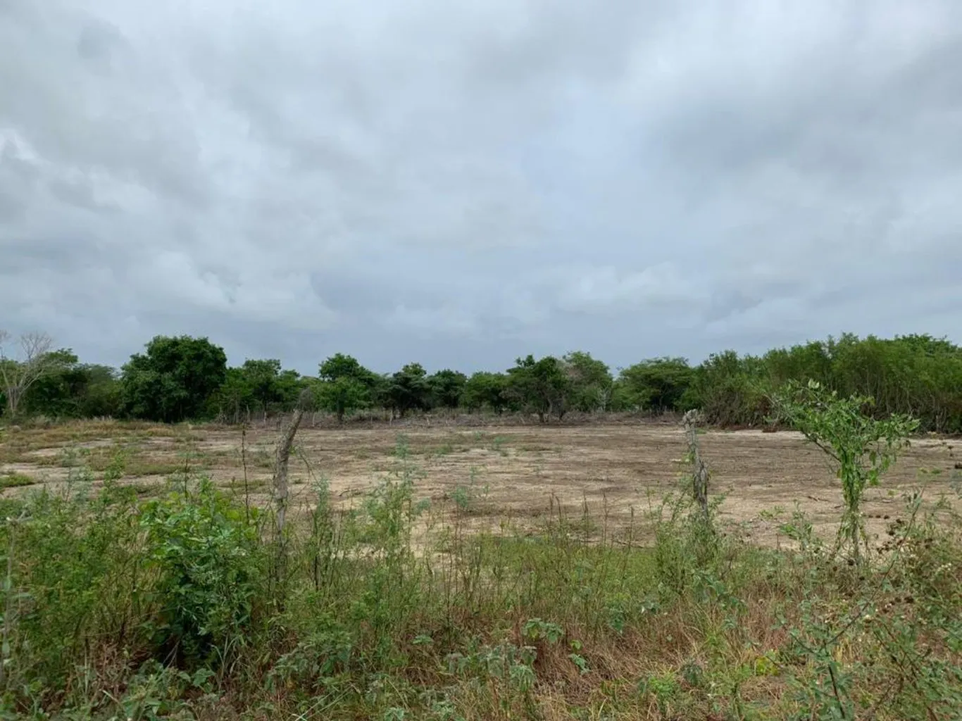 #1542 - Lote en Manzanillo en venta de 2300m² - 2