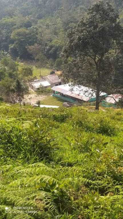 #1802 - Lote en venta en Bochalema de 17500m² - 15