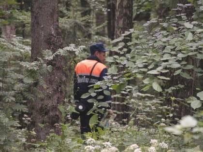 Пожарная безопасность в Подмосковье: меры и советы