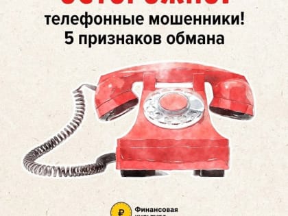 Каширяне, будьте бдительны: в Подмосковье участились случаи телефонных и интернет-мошенничеств