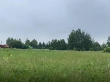 Торги по продаже и аренде земельных участков в Подмосковье