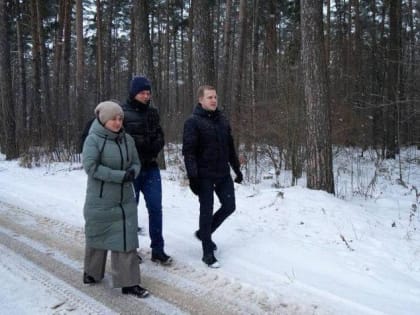 Проверка санитарного состояния леса в Подольске