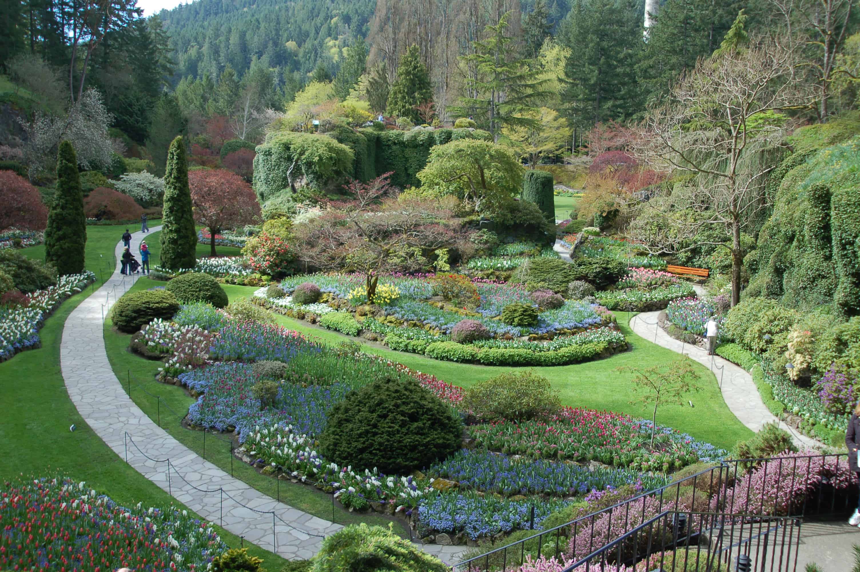 Butchart Gardens in spring bloom
