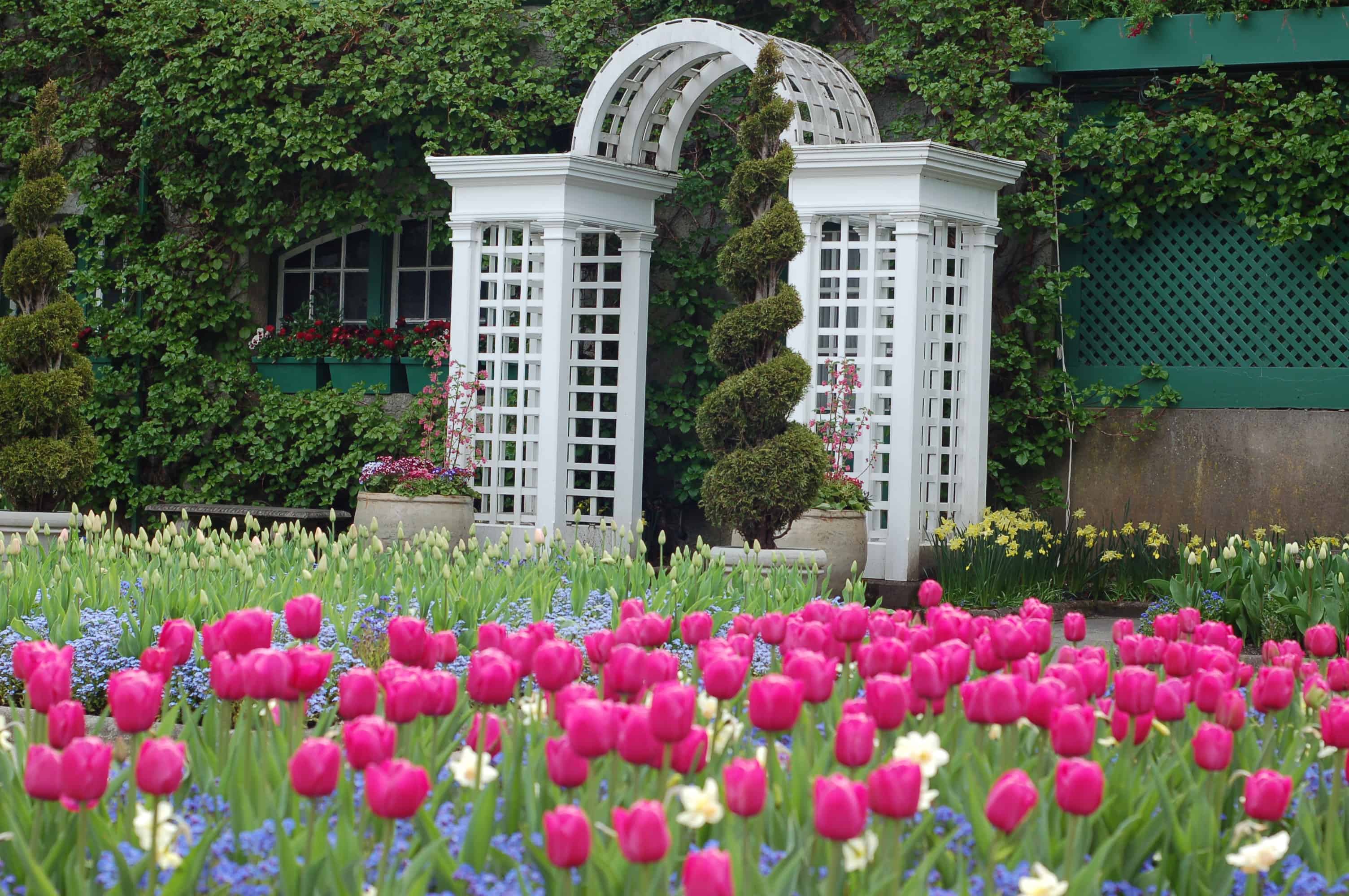 One of many garden views at Butchart