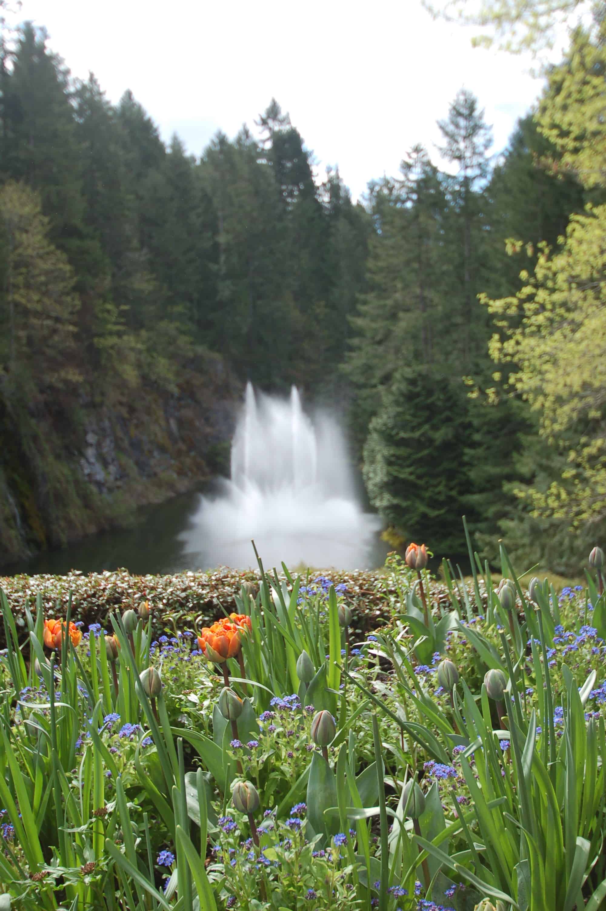 Spring planting beds at Butchart Gardens