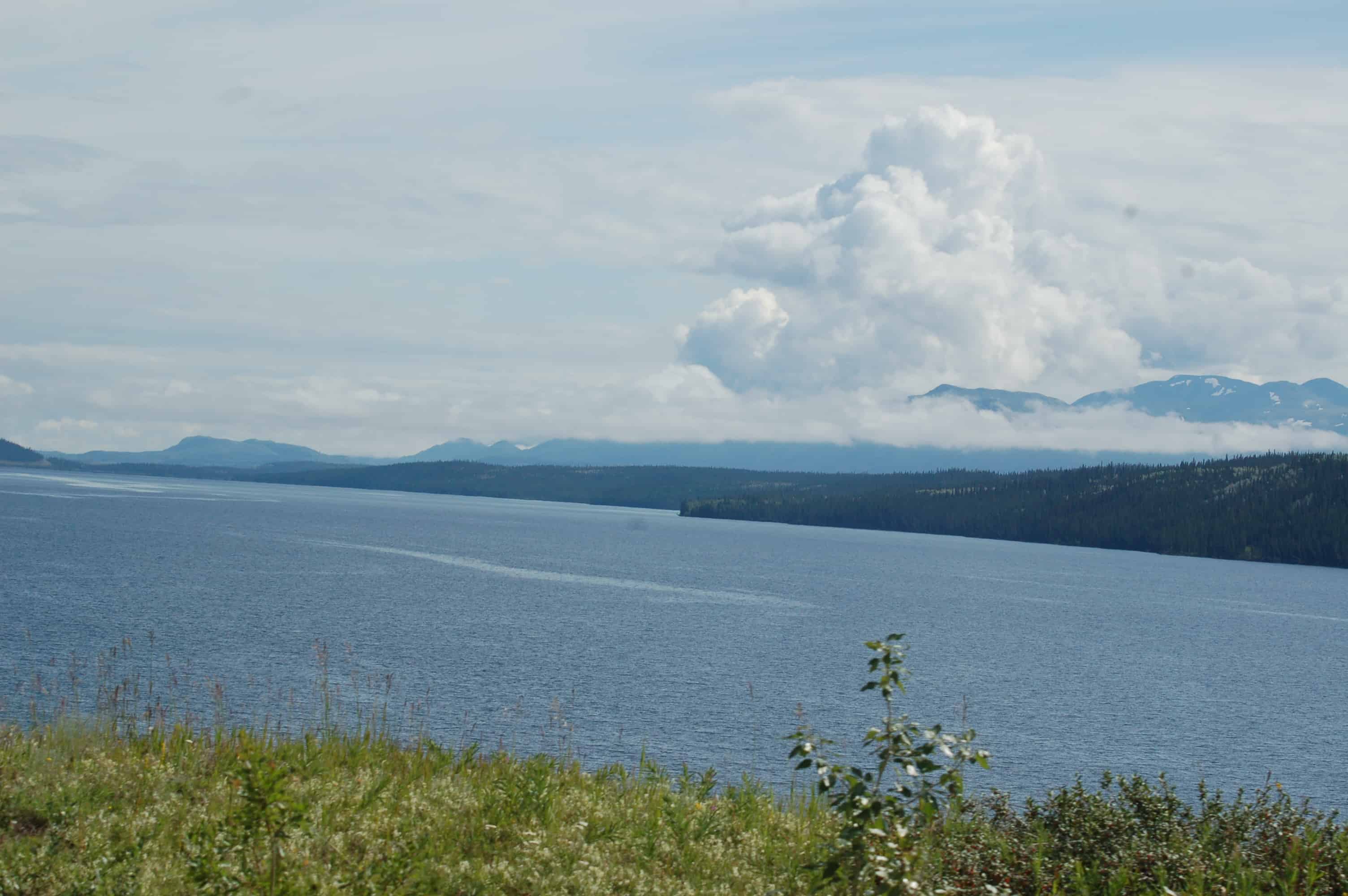 The drive south from Dawson City to Whitehorse